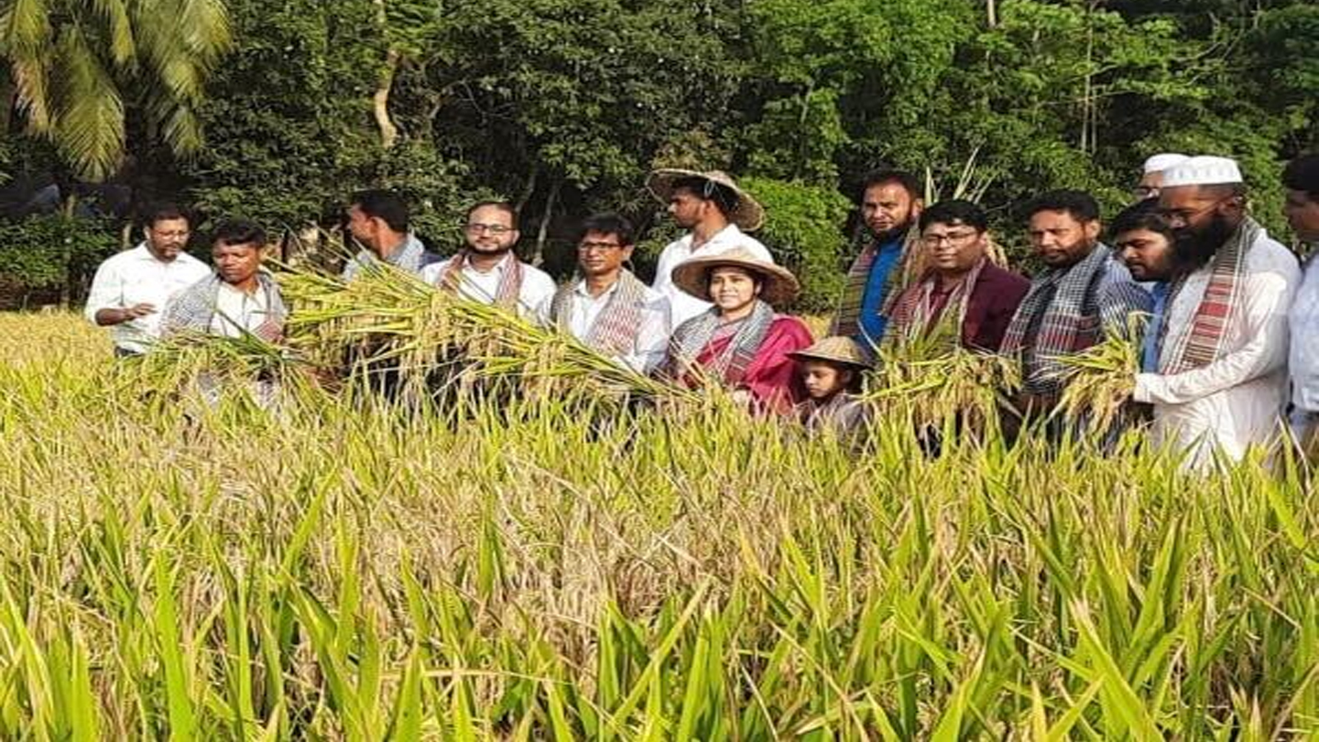 দেশে উদ্ভাবন হলো ‘ডায়াবেটিক চাল’