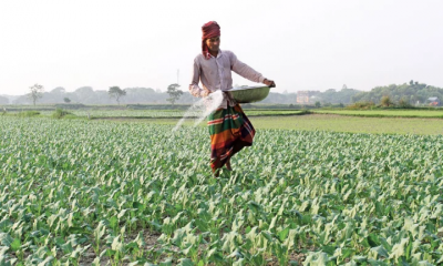 বালাইনাশকের ভয়াল থাবা