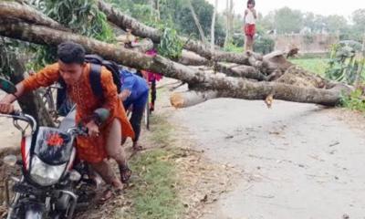 ঠাকুরগাঁওয়ে ১৫ মিনিটের ঝড়ে লন্ডভন্ড ২০ গ্রাম, তিনজনের মৃত্যু